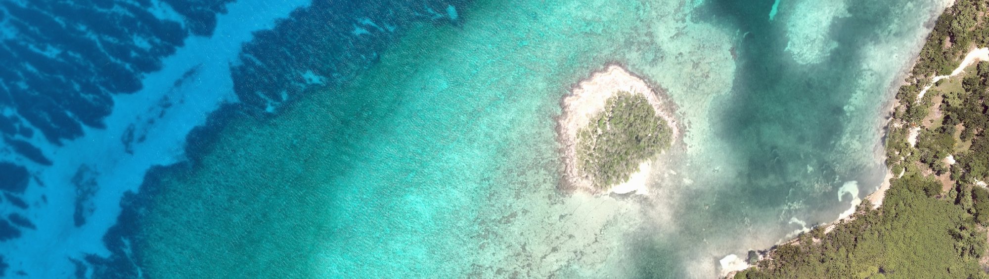 Orthomosaic of the reef and the private island from the site survey